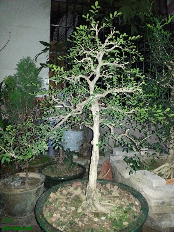 20140227_191204_.jpg