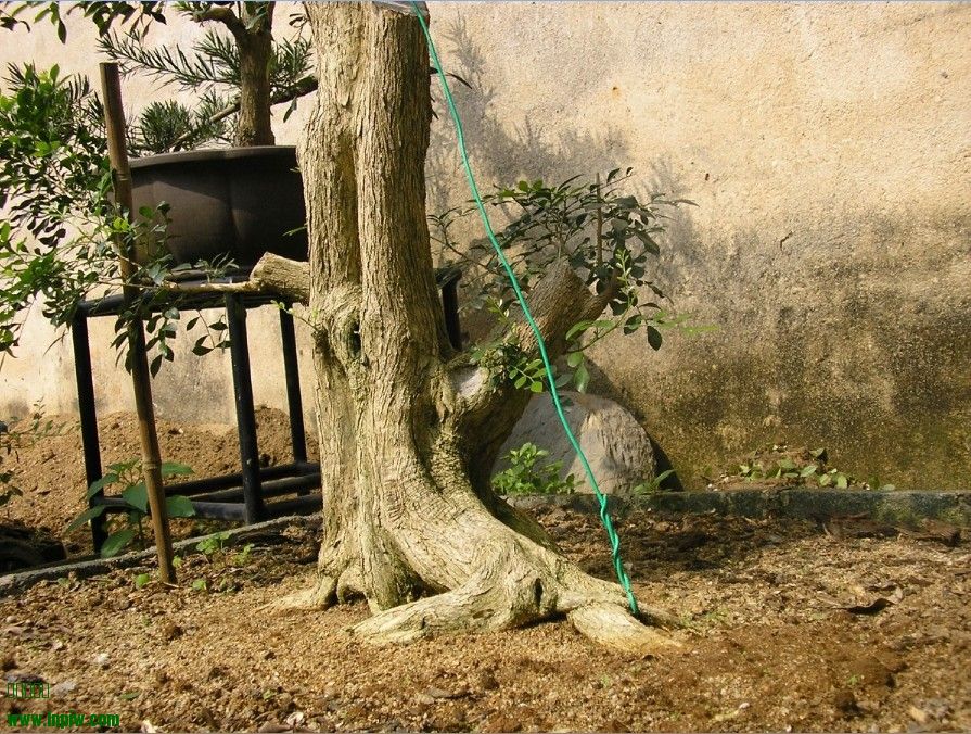 e.jpg