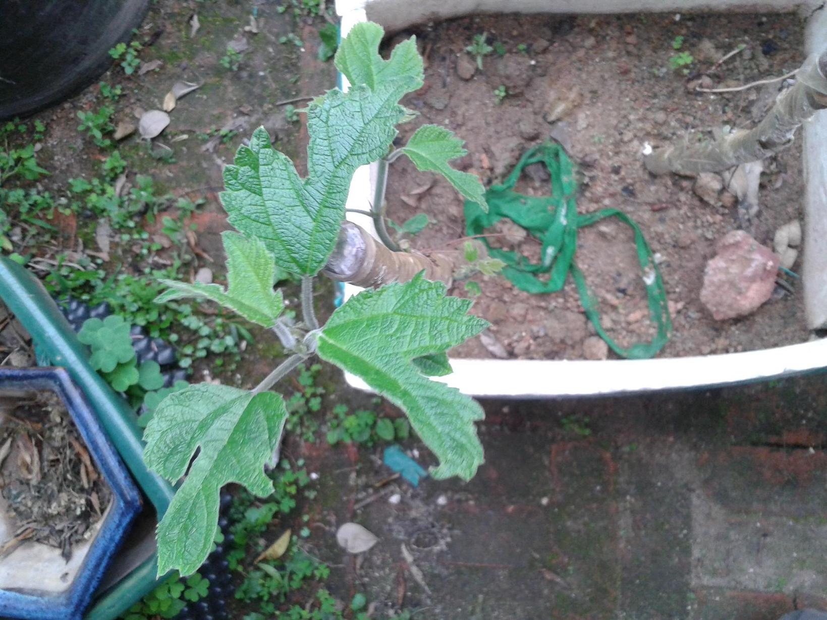 20140328_074244.jpg