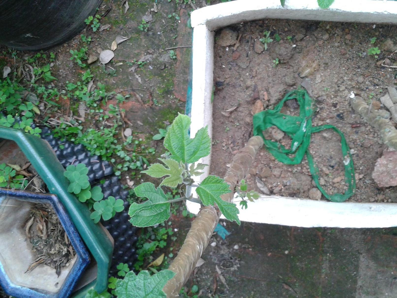 20140328_074315.jpg