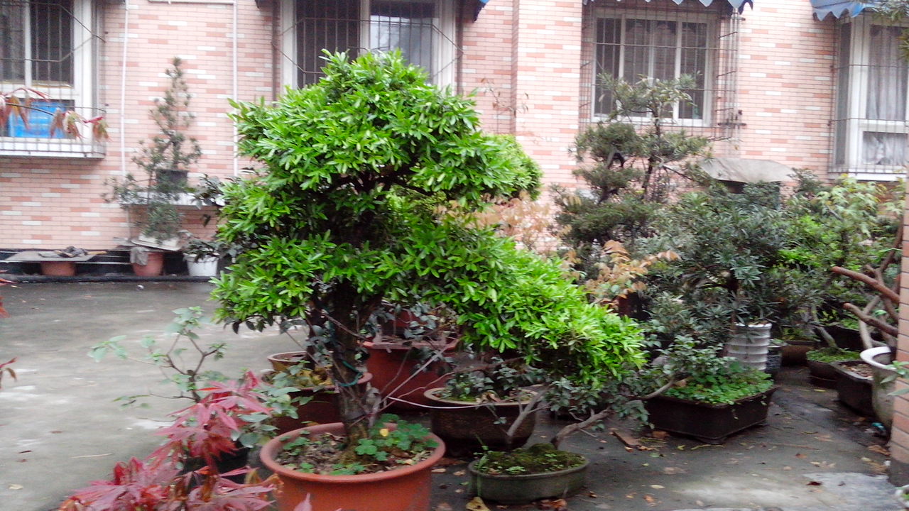 IMG_20140328_083940.jpg