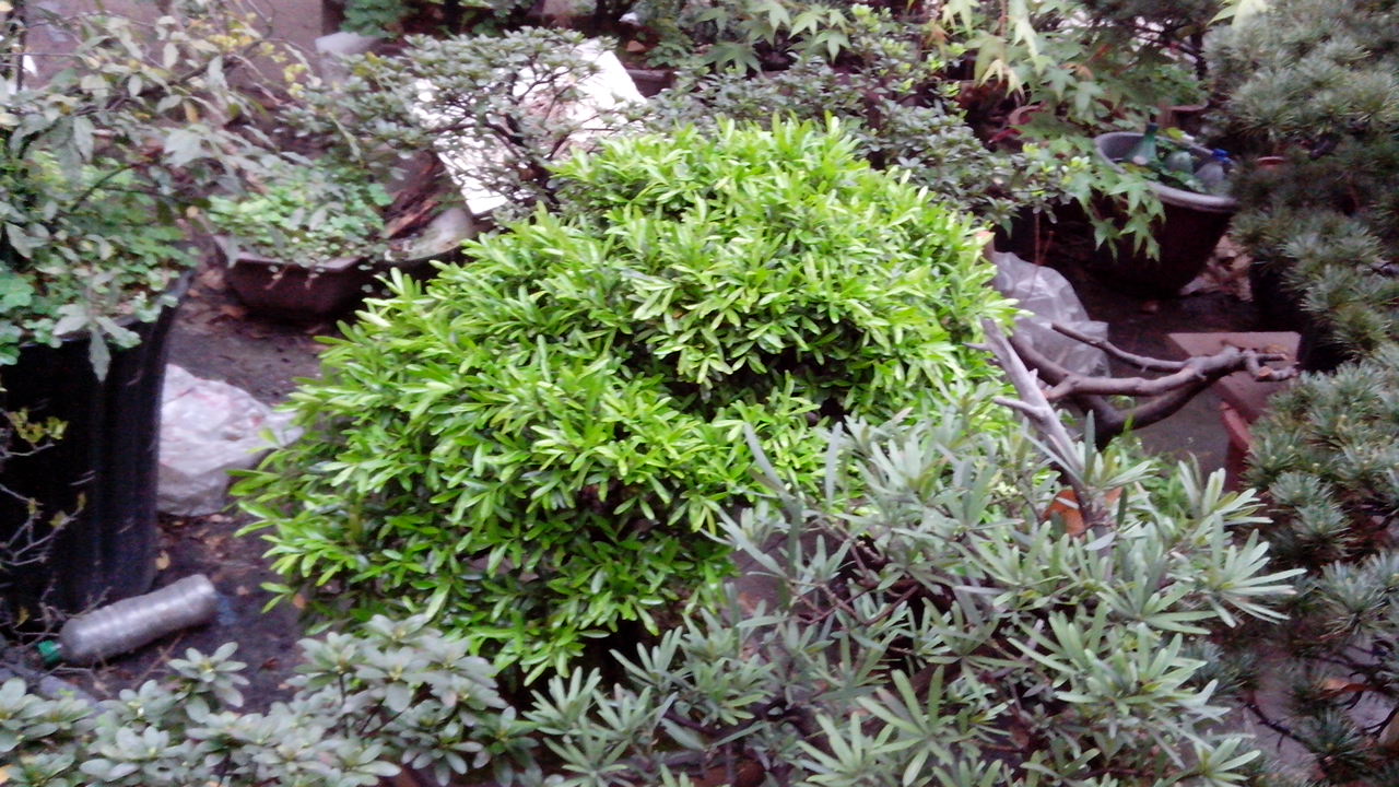 IMG_20140328_084016.jpg