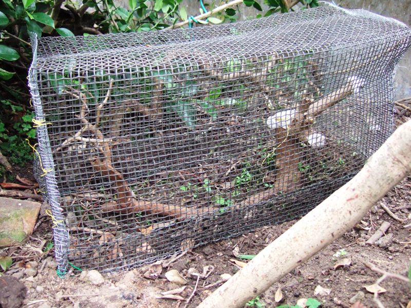 DSCF2726.JPG