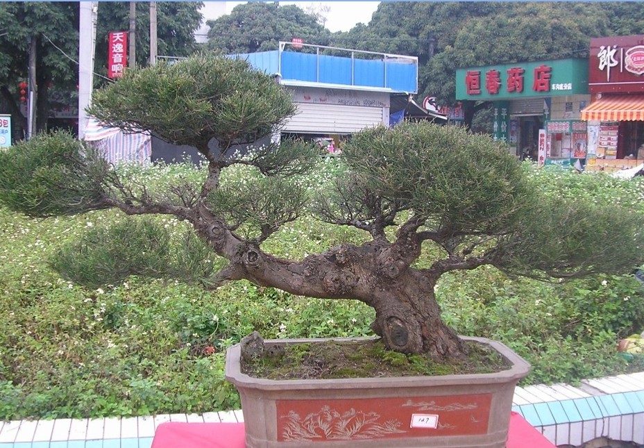 59.jpg
