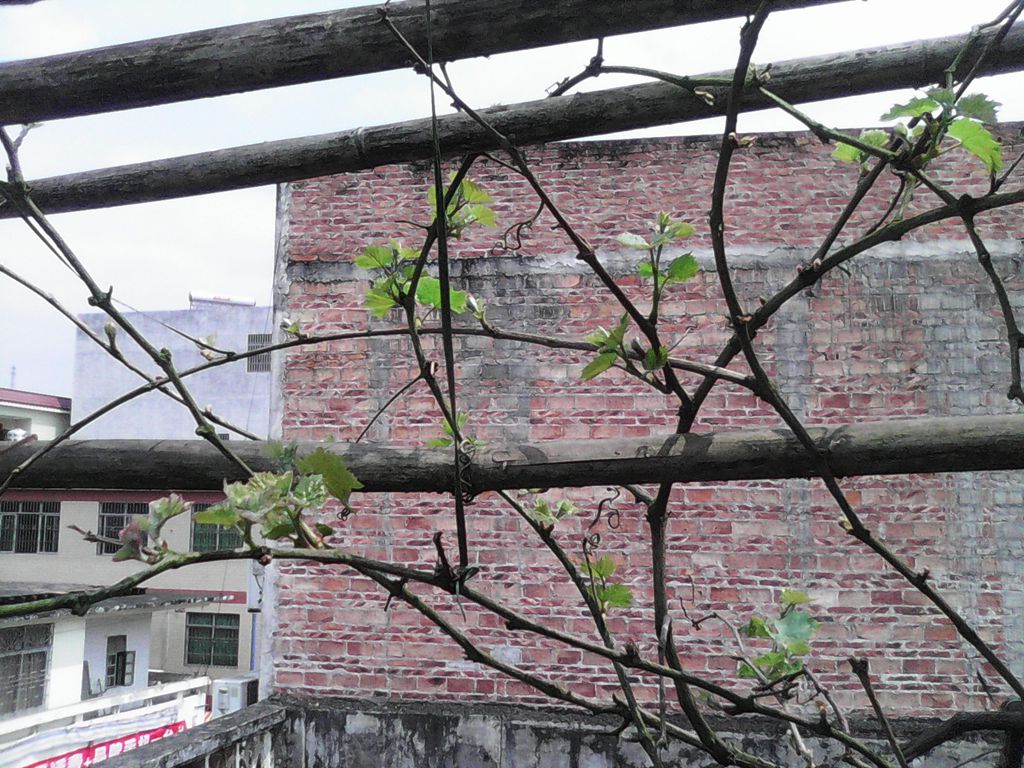 IMG_20140327_114150_.jpg
