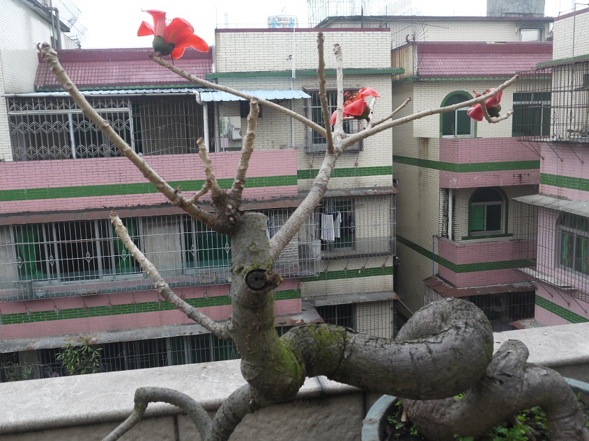 P1200427.JPG
