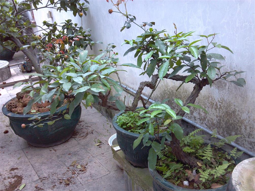 2014-03-26_11-27-47_950.jpg