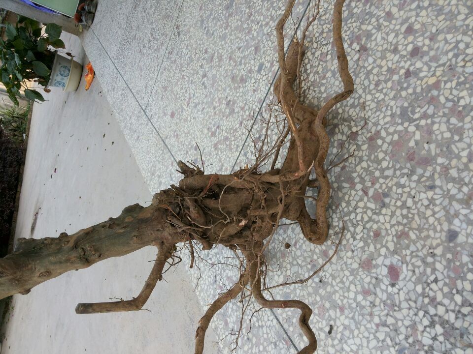 QQͼƬ20140329173404.jpg