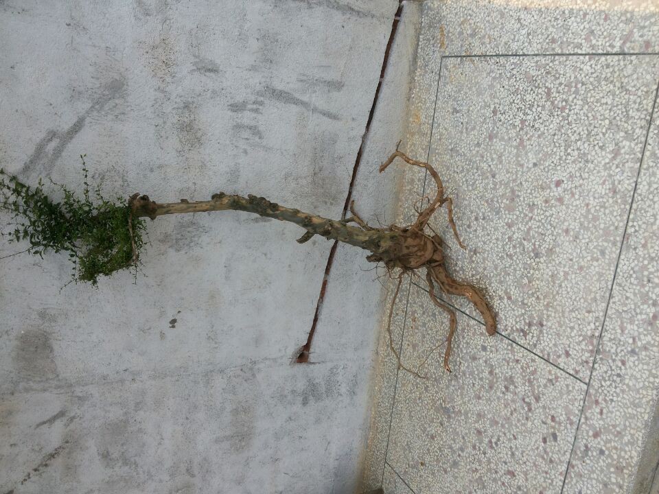 QQͼƬ20140329173612.jpg