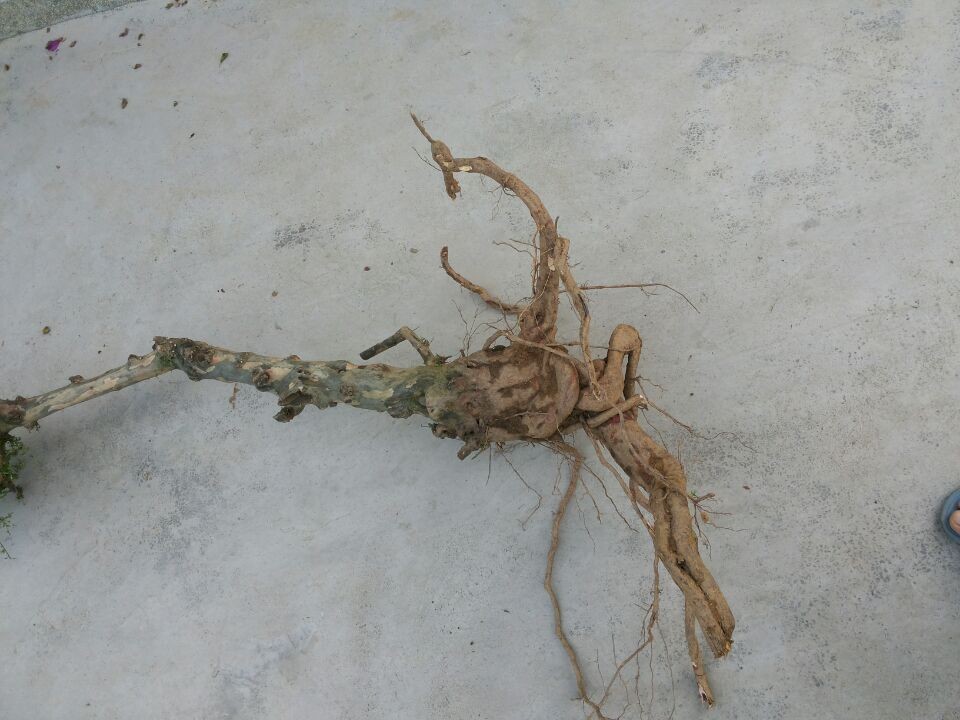 QQͼƬ20140329173618.jpg