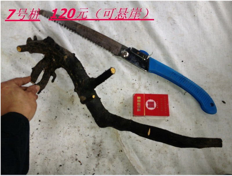 %ZK8P((7S2TM(4(H0D1NVTA.jpg