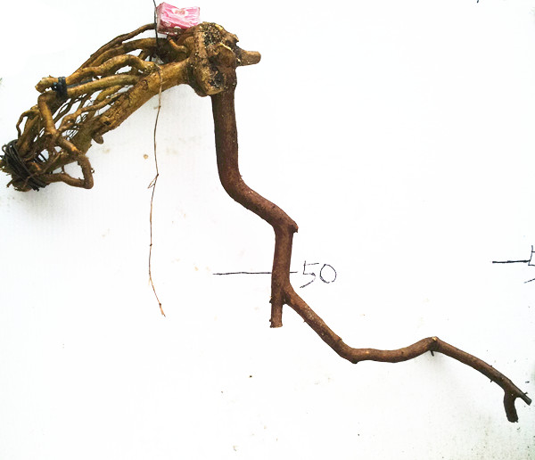 20140329_172839_.jpg