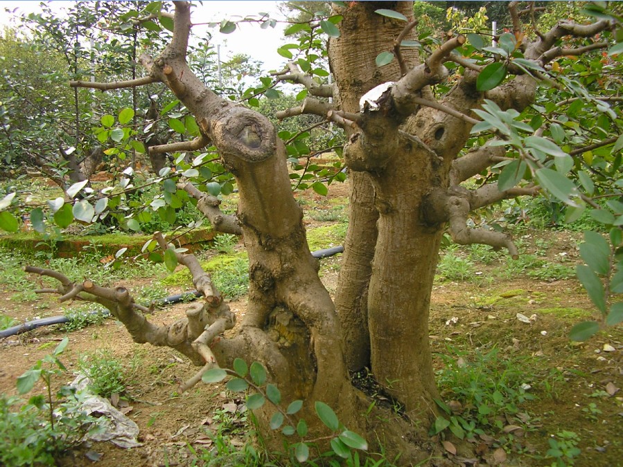 102.jpg