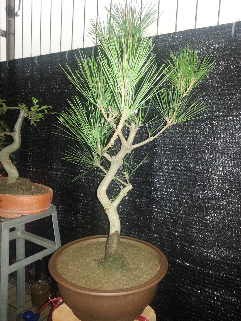 20140330_124834_.jpg