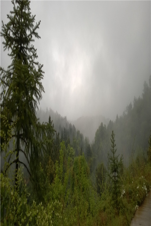 ɽϷ