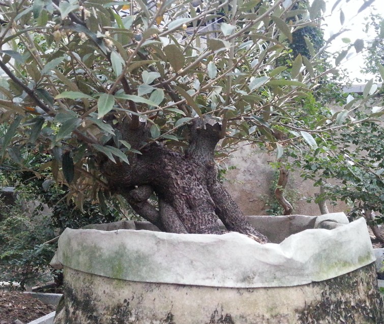 QQͼ20140401151045.jpg