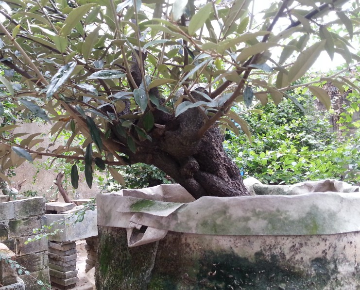 QQͼ20140401151024.jpg