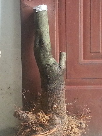QQͼ20140401151236.jpg