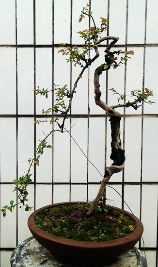 20140331_160934.jpg