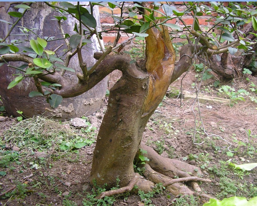 48.jpg