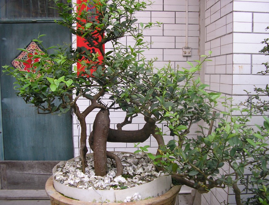 54.jpg