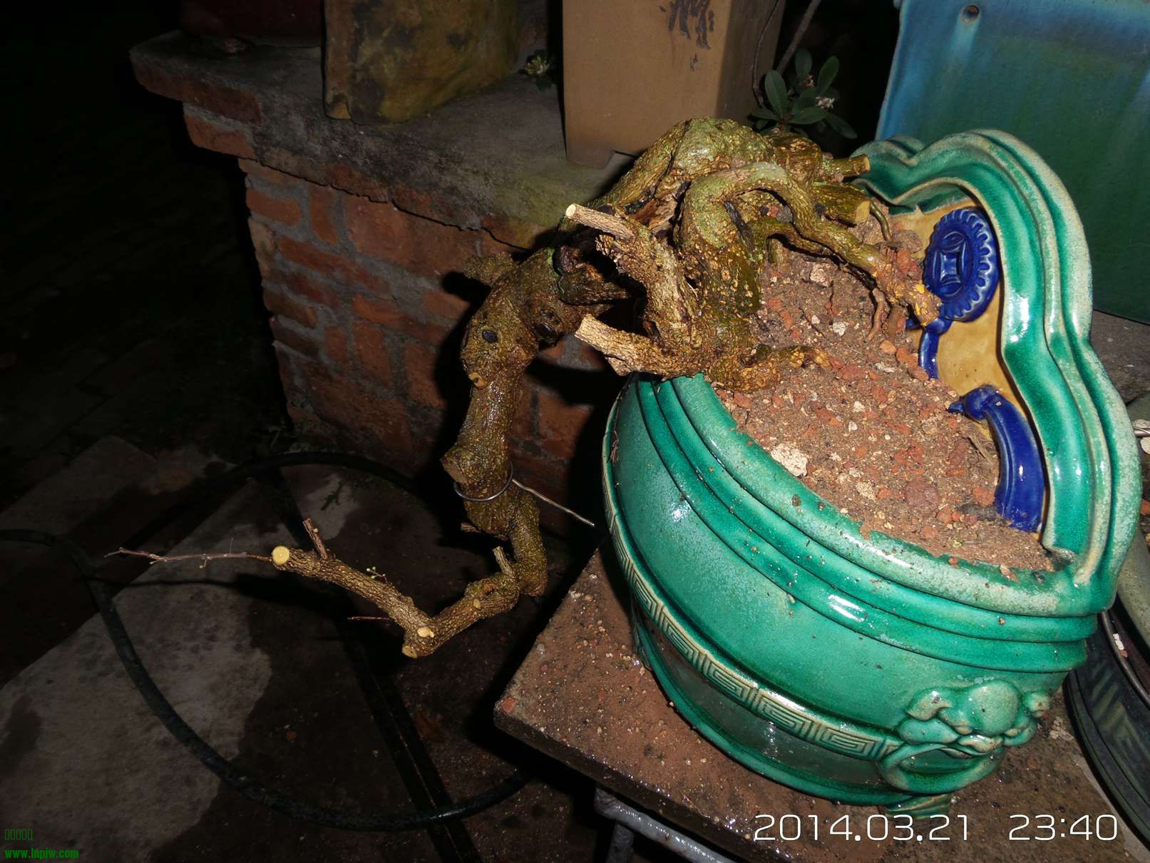 20140321_234001.jpg