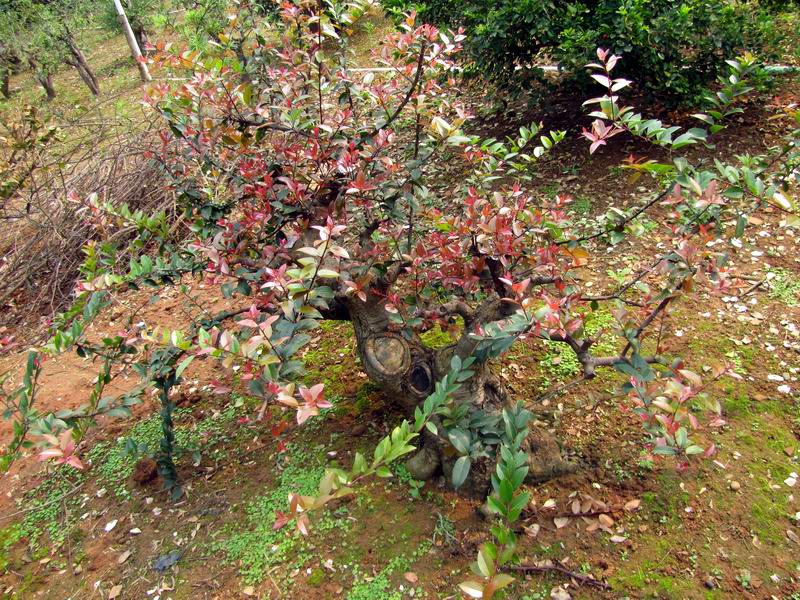 Է (10).jpg