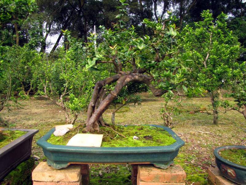 Է (15).jpg