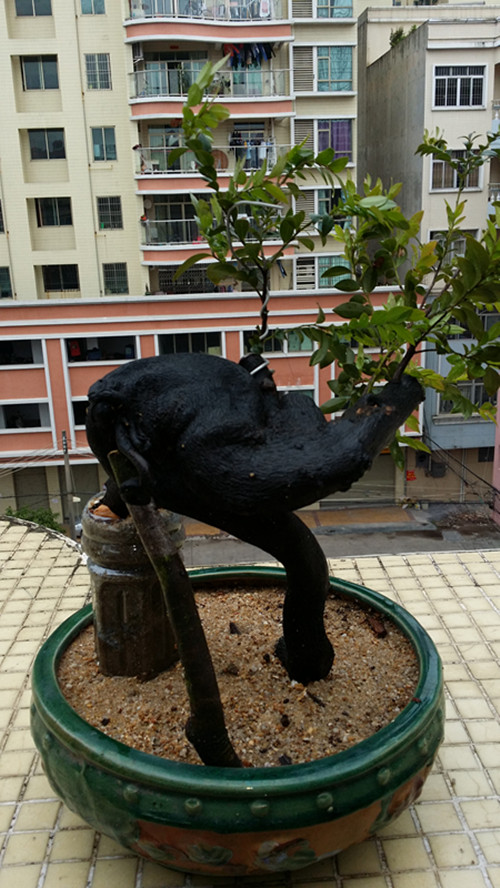 20140401_131905_.jpg