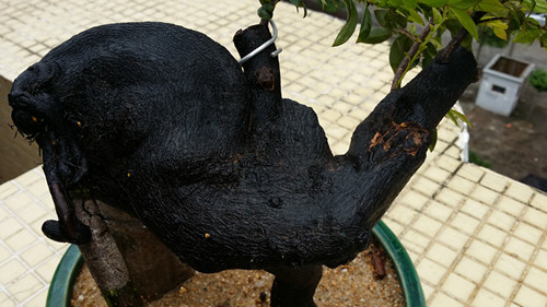 20140401_132015_.jpg