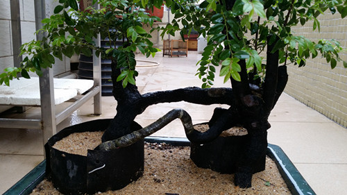 20140401_141143_.jpg