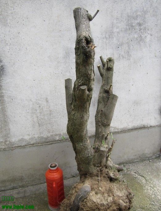 QQͼƬ20140401174438.jpg