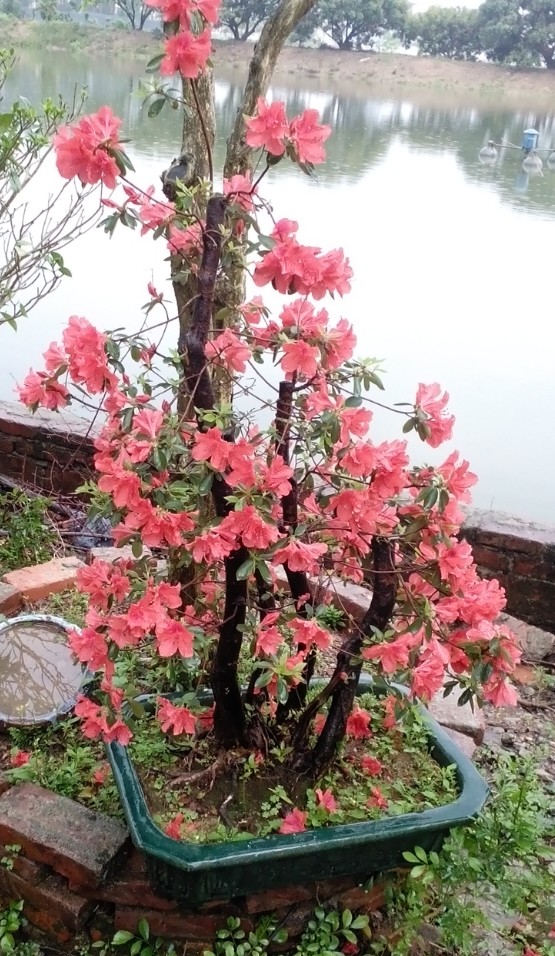 IMG_20140401_193303.jpg