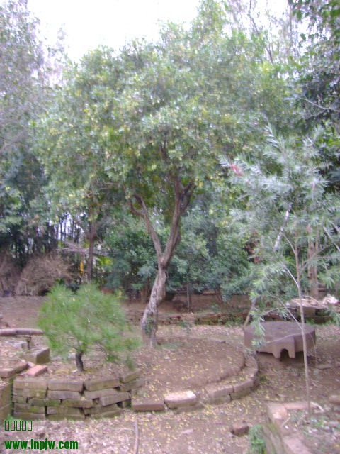 902β888 001.jpg