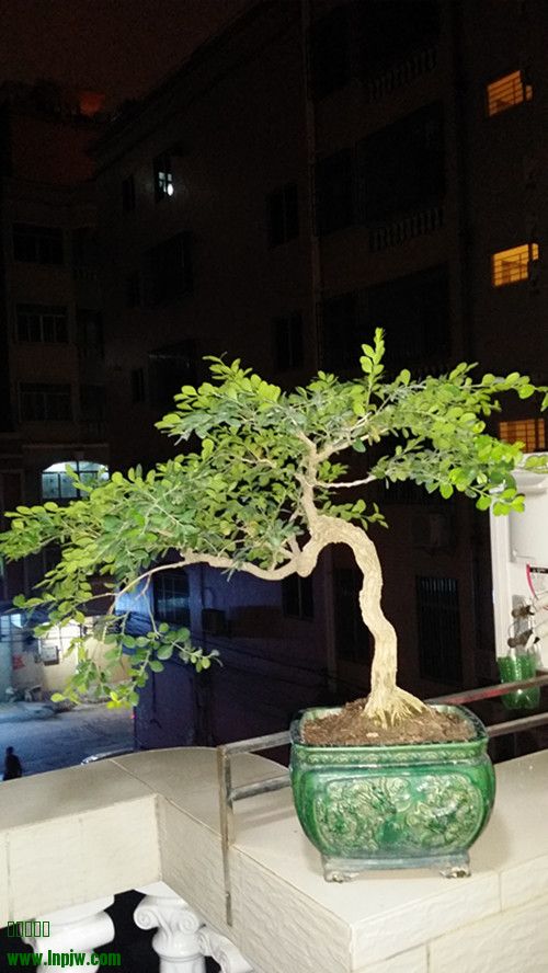20140401_210445_.jpg