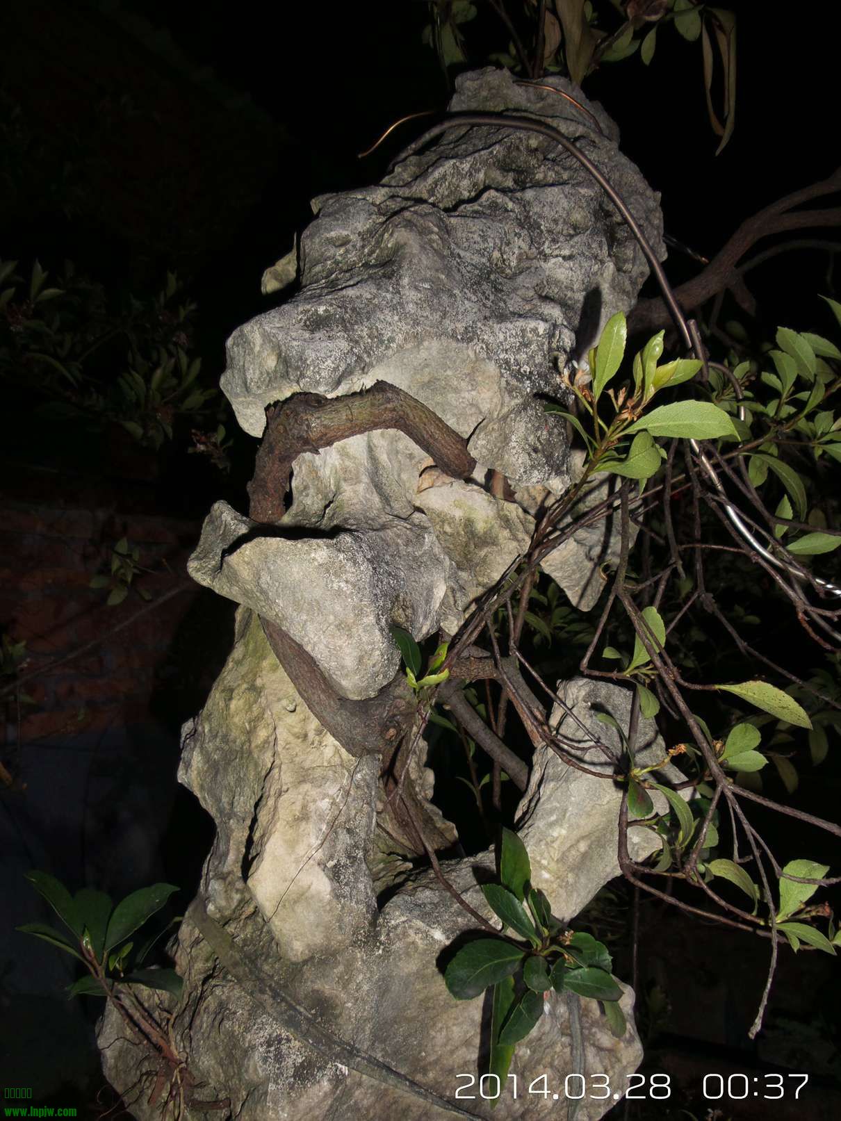 20140328_003733.jpg