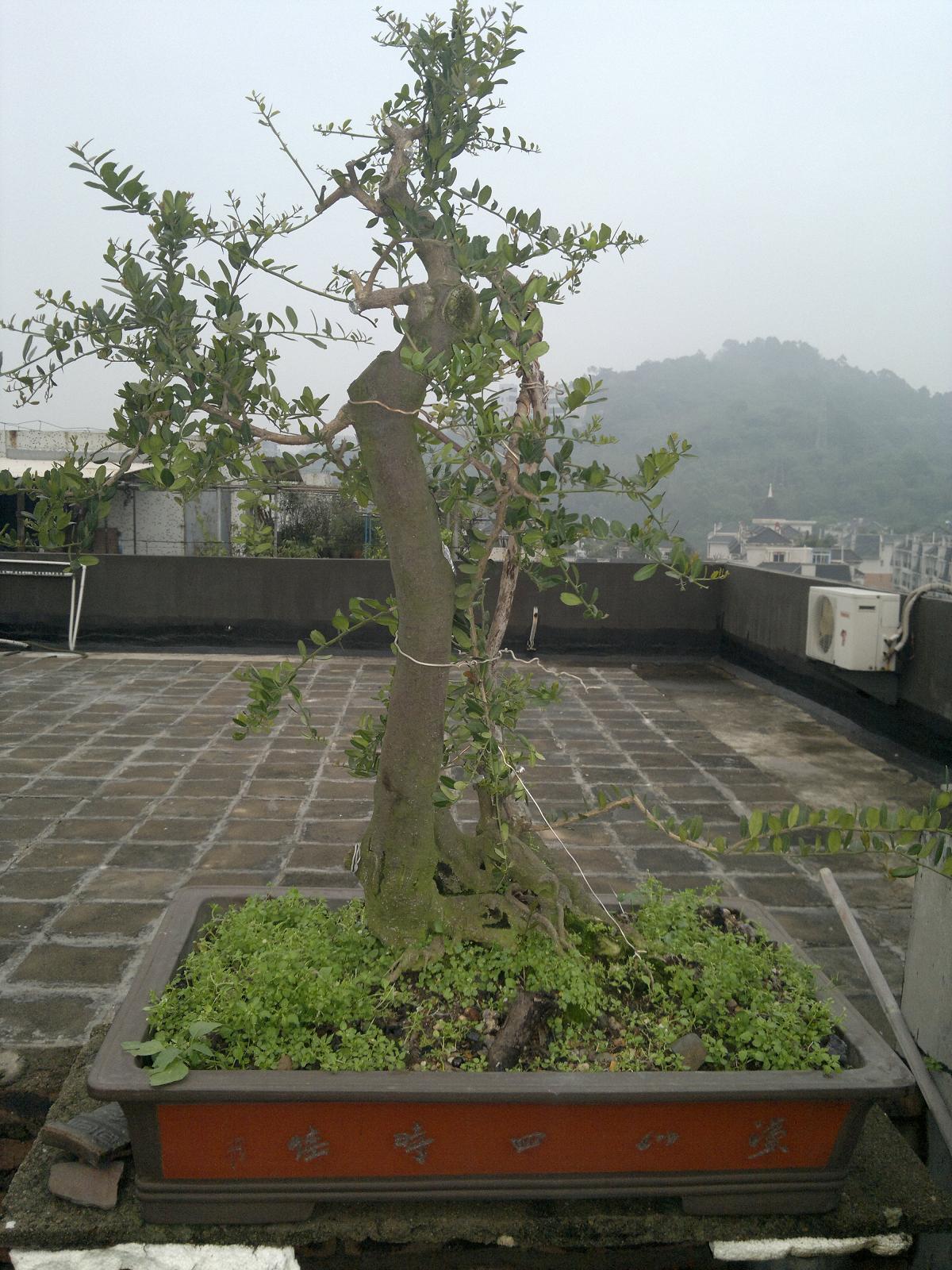 201403311892.jpg