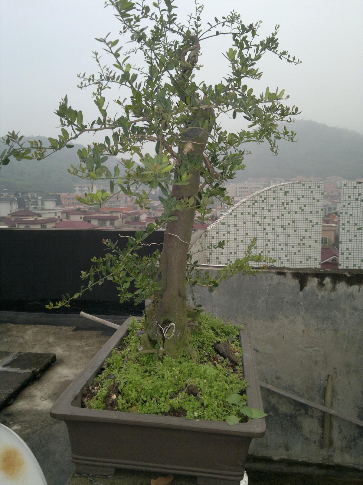 201403311893.jpg