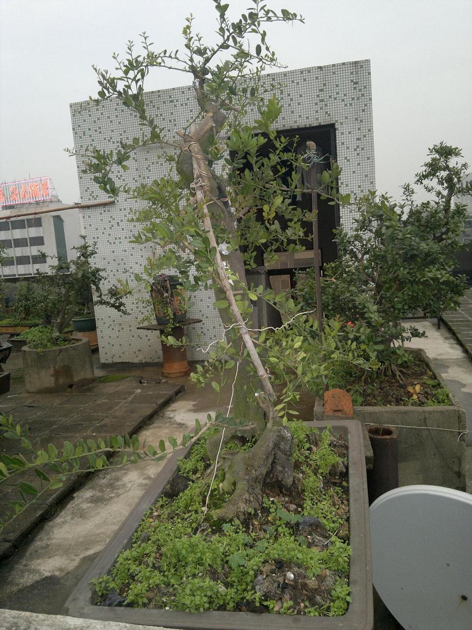 201403311895.jpg