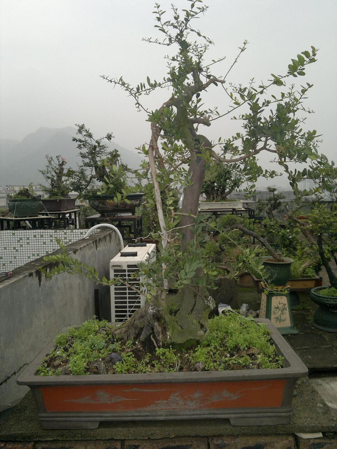 201403311894.jpg