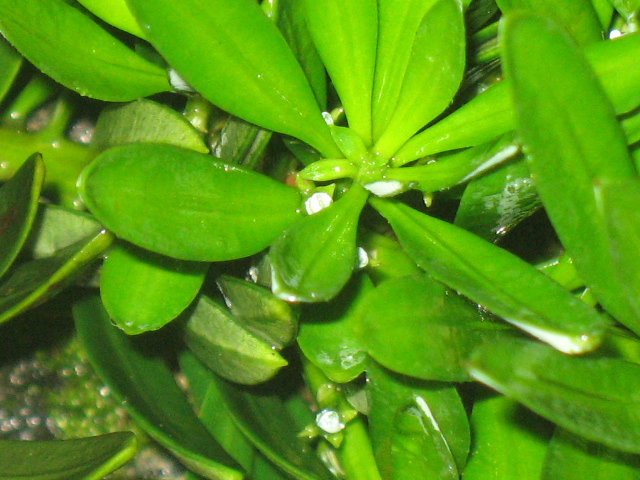 IMG_8045.JPG