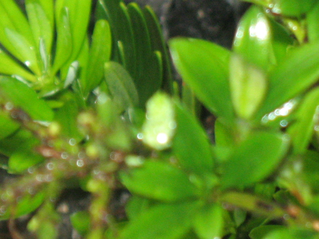 IMG_8053.JPG