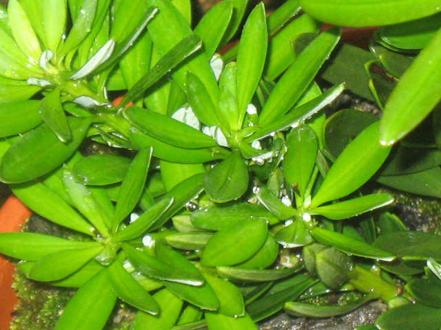 IMG_8054.JPG