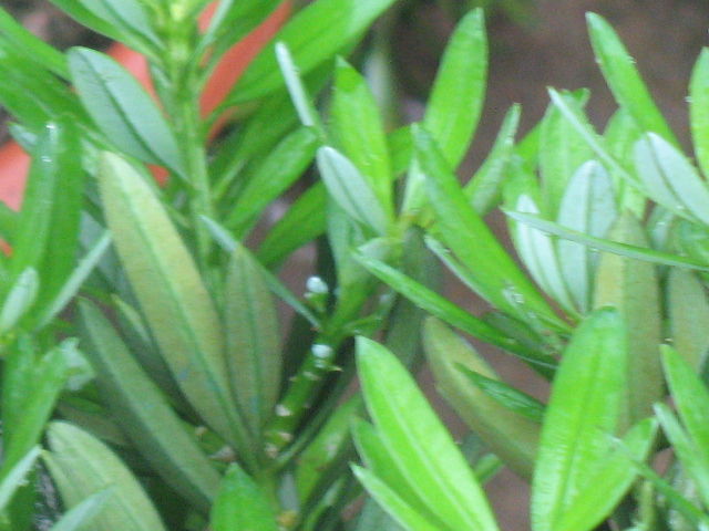 IMG_8055.JPG