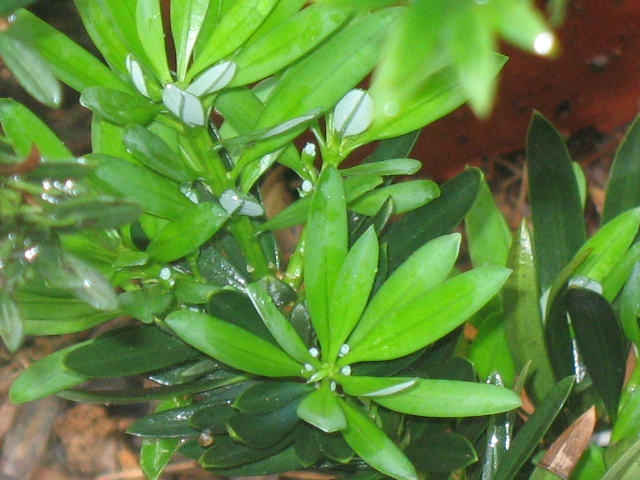 IMG_8056.JPG
