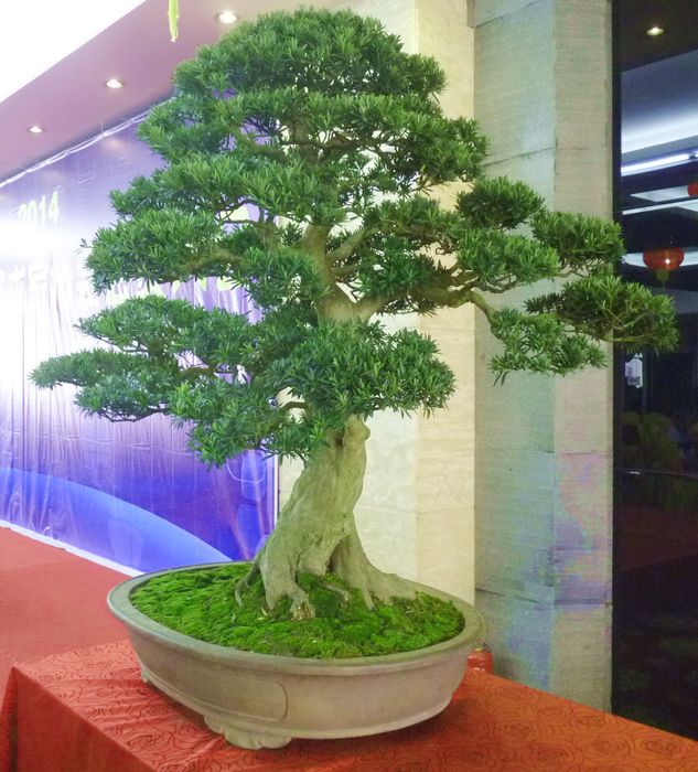 P1040834.JPG