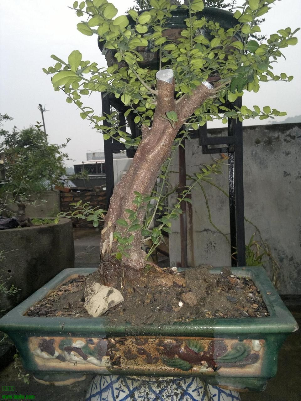 201403311900.jpg