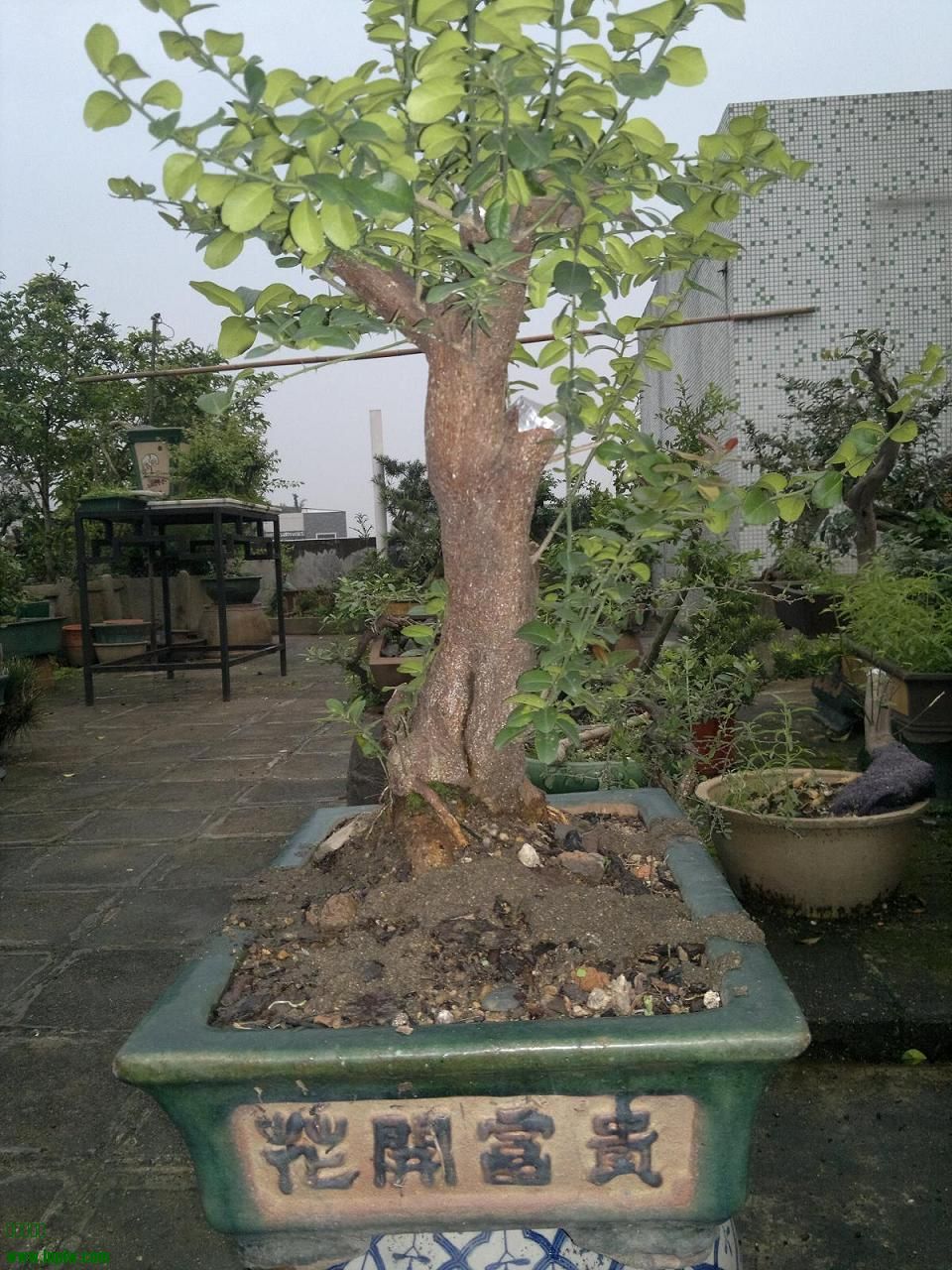 201403311901.jpg