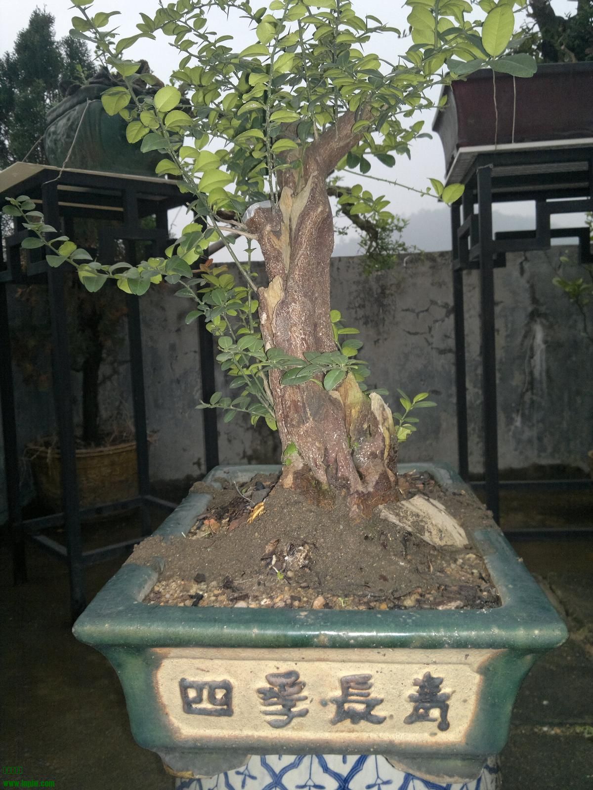 201403311902.jpg
