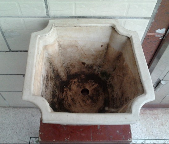 QQͼƬ20140403104913.jpg
